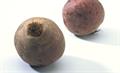 Beta vulgaris var conditiva